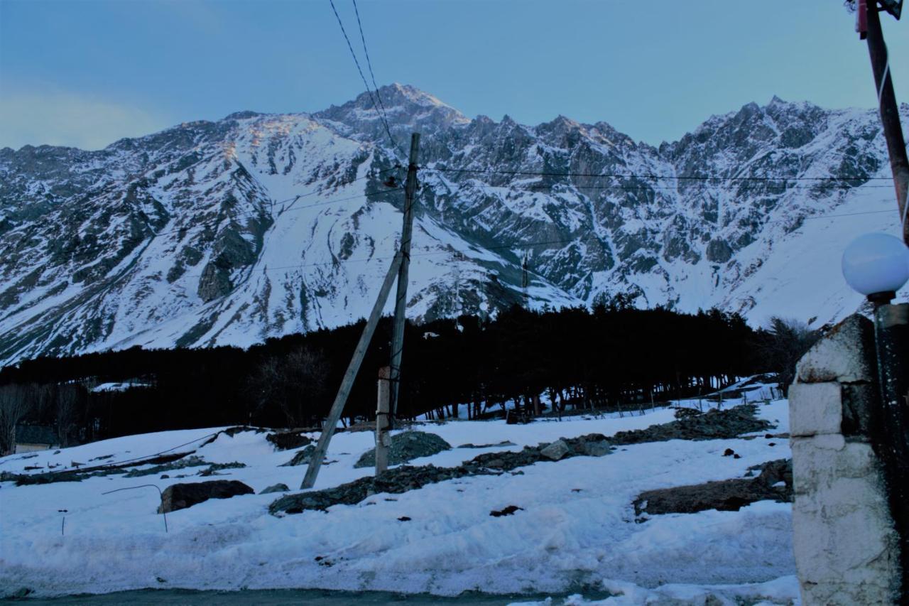 Hotel NOA Kazbegi Kültér fotó