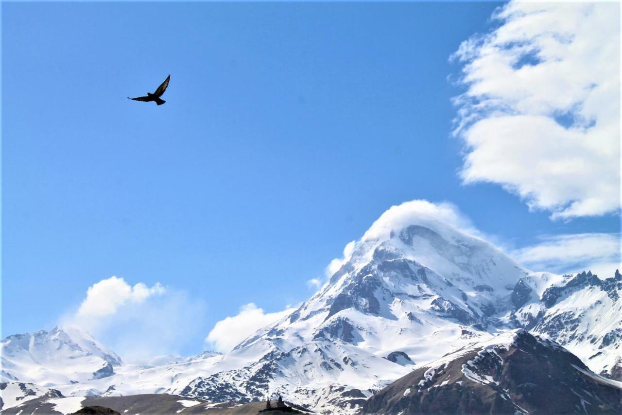 Hotel NOA Kazbegi Kültér fotó